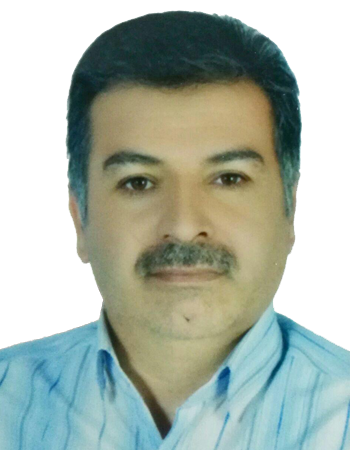 Substitute inspector